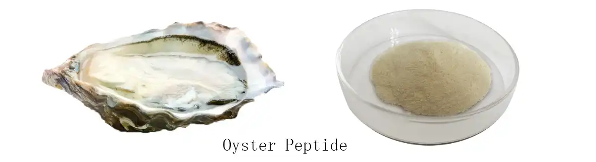 Oyster Peptide s.jpg